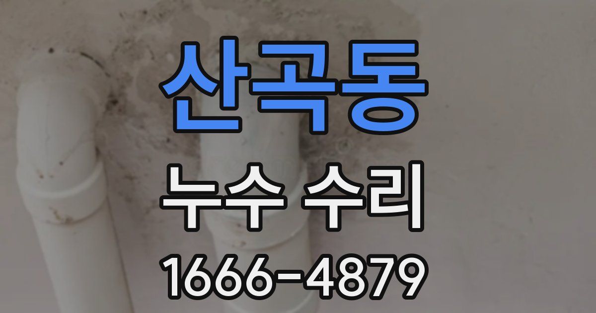 산곡동 누수 수리