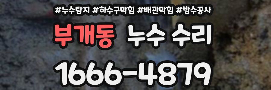 부개동 누수 수리