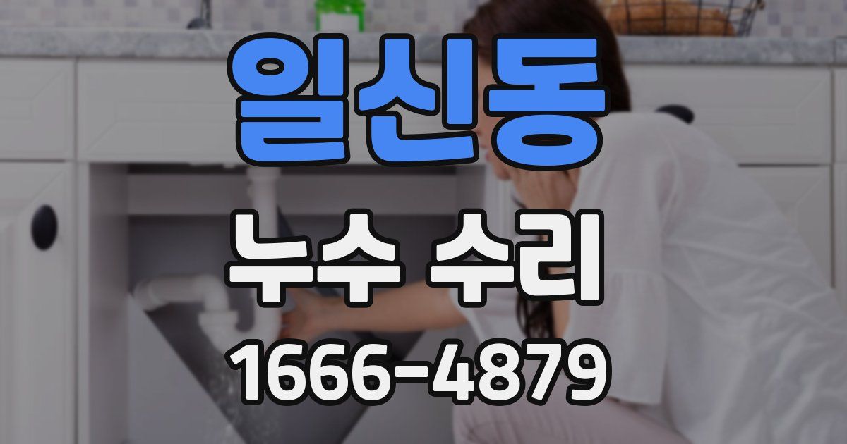 일신동 누수 수리
