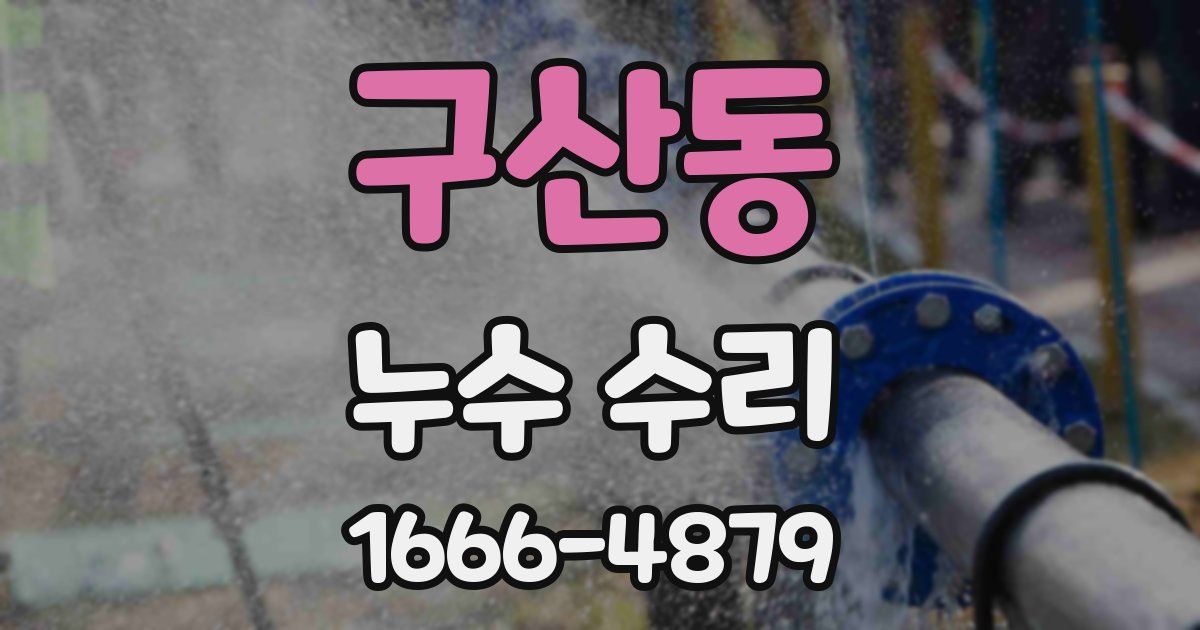 구산동 누수 수리