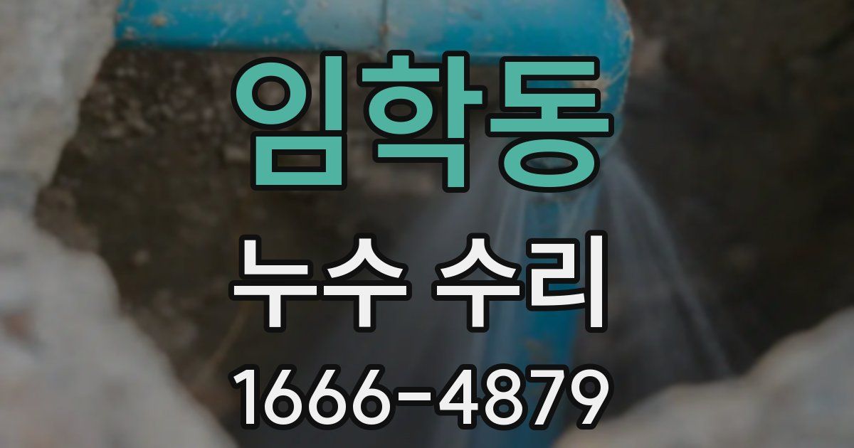 임학동 누수 수리