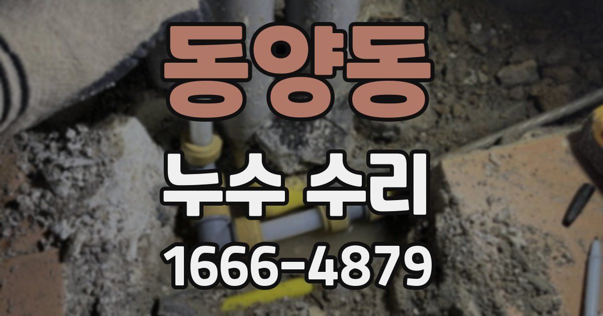 동양동 누수 수리