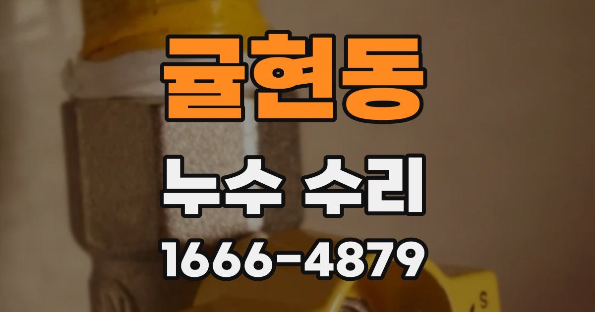 귤현동 누수 수리