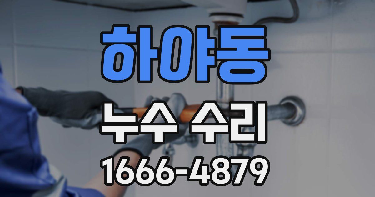 하야동 누수 수리