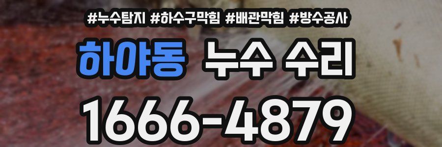 하야동 누수 수리