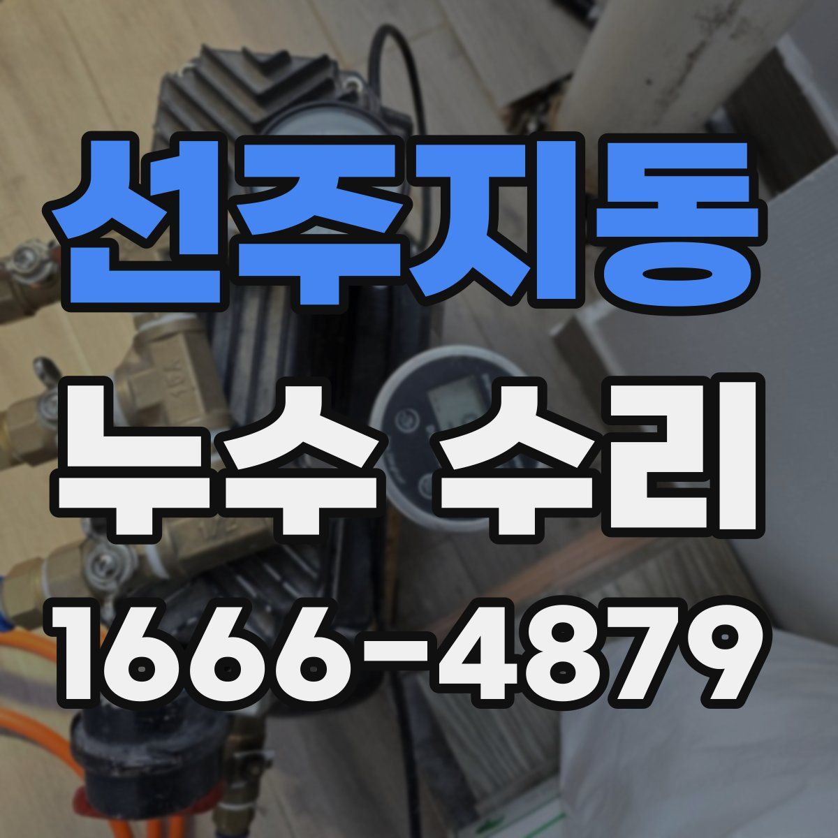 선주지동 누수 수리