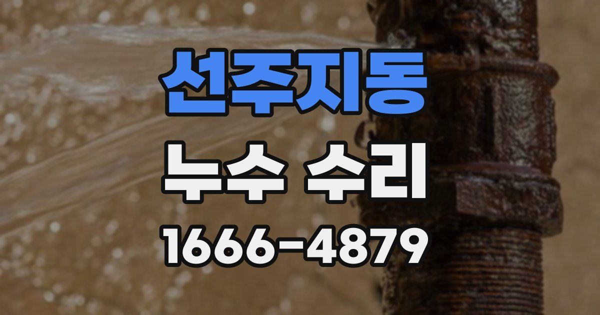 선주지동 누수 수리