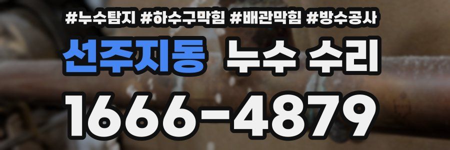 선주지동 누수 수리