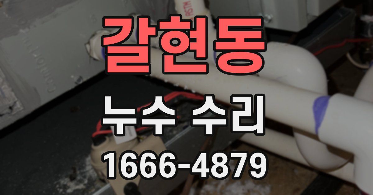 갈현동 누수 수리
