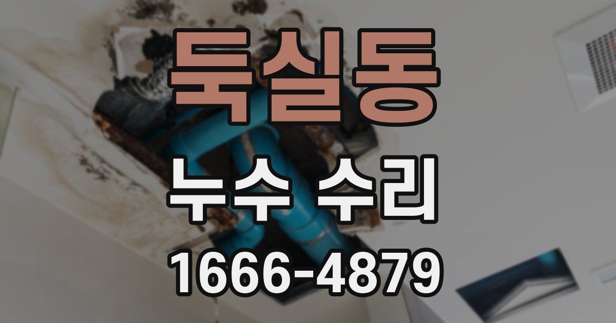 둑실동 누수 수리