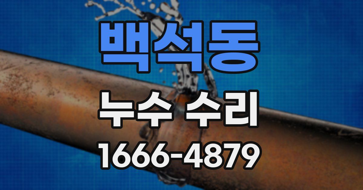 백석동 누수 수리