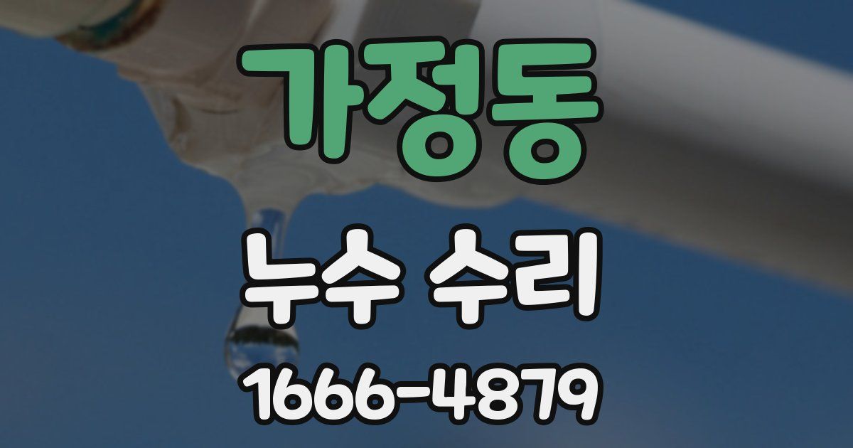 가정동 누수 수리