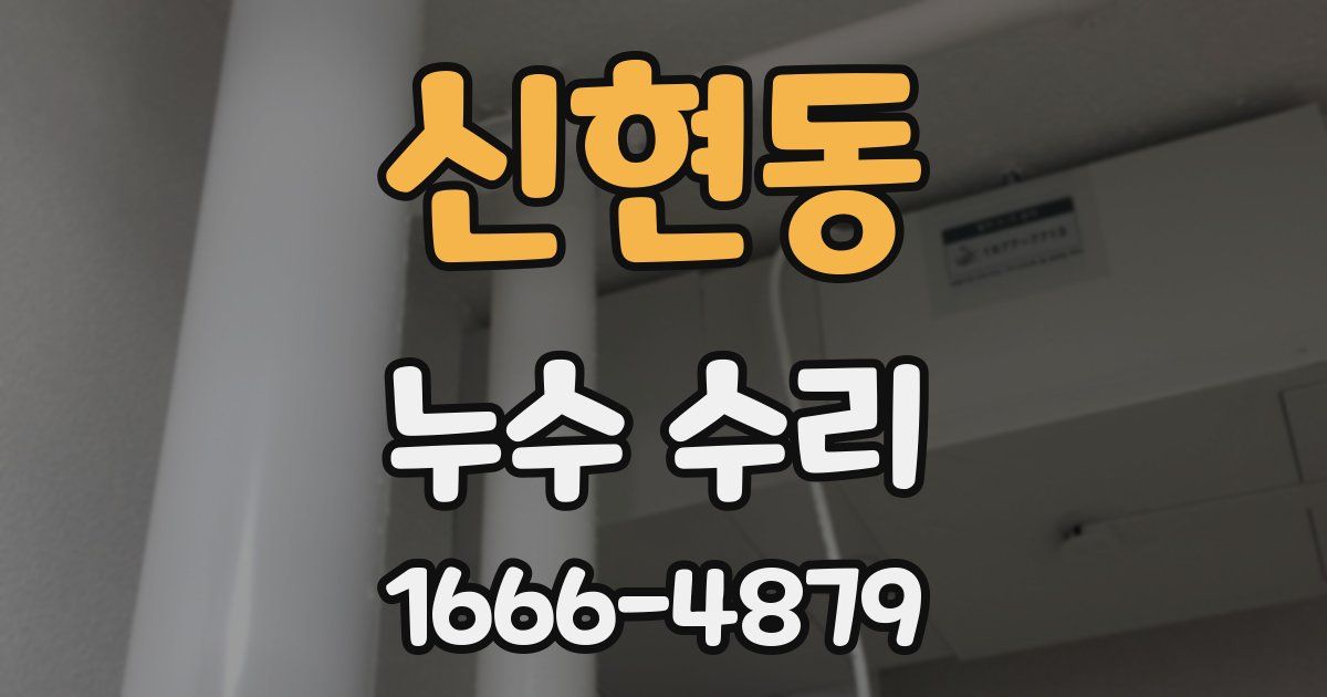 신현동 누수 수리