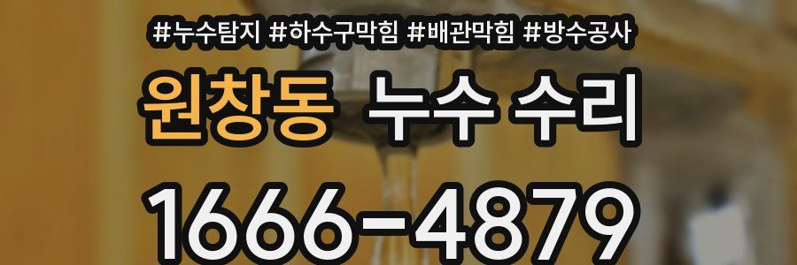 원창동 누수 수리