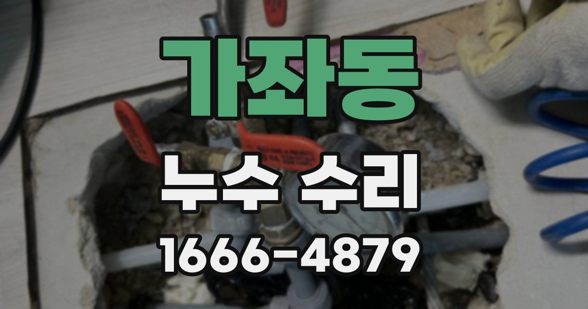 가좌동 누수 수리