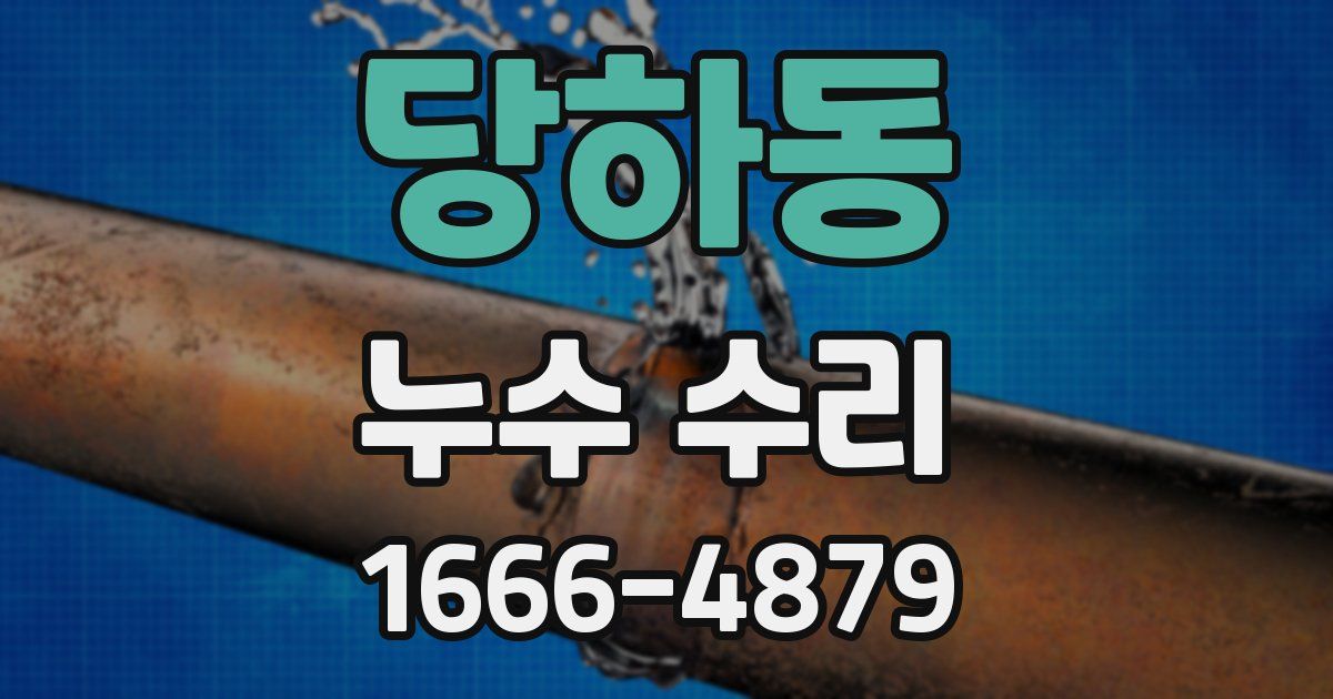당하동 누수 수리