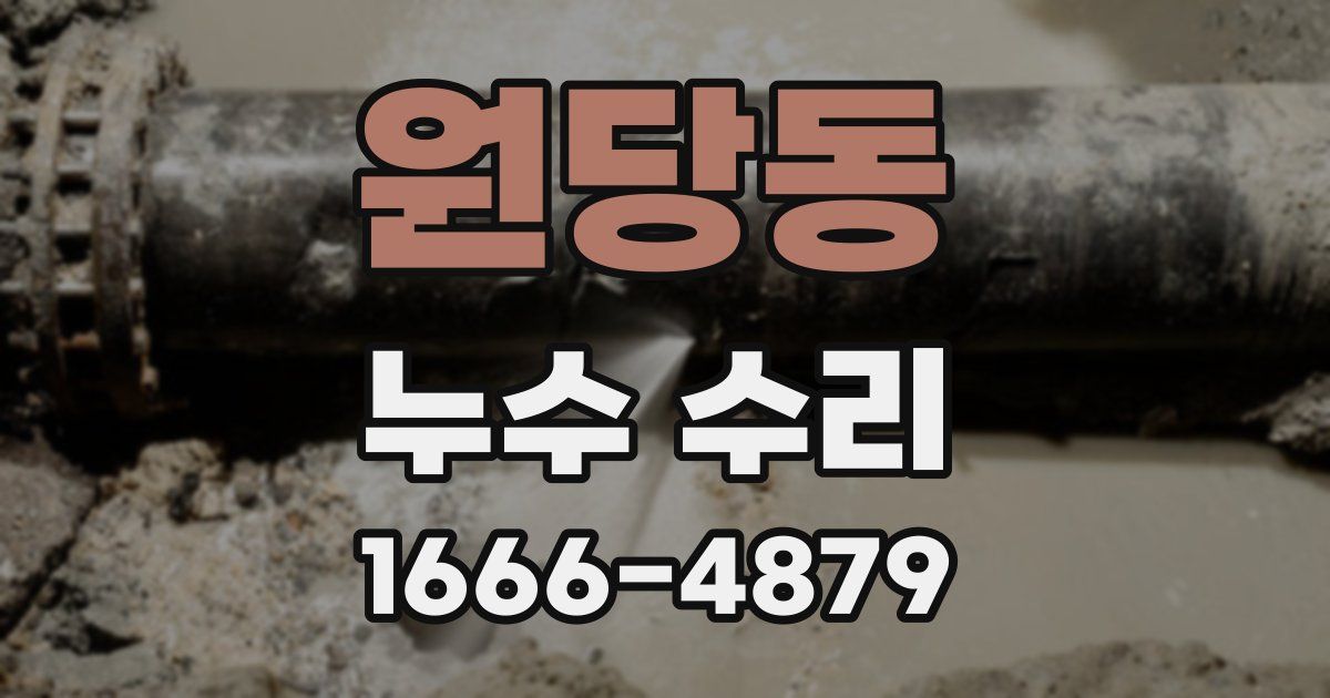 원당동 누수 수리