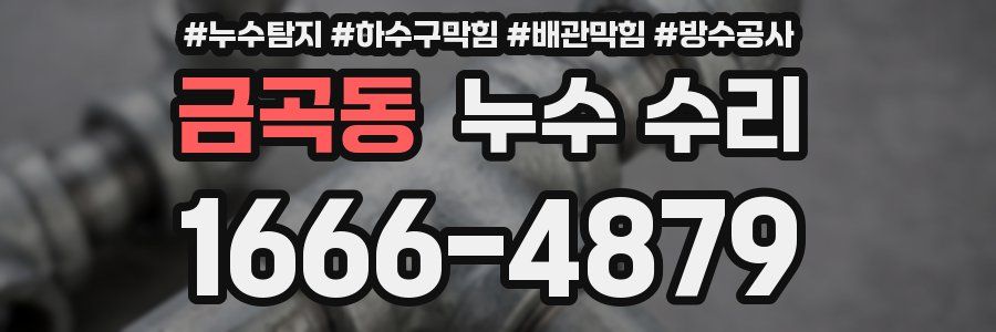 금곡동 누수 수리