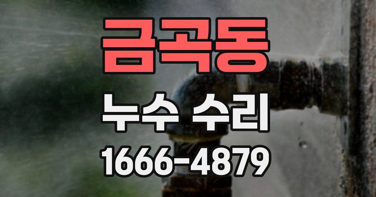 금곡동 누수 수리