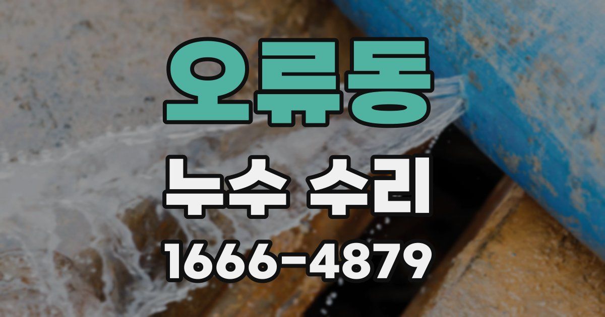오류동 누수 수리