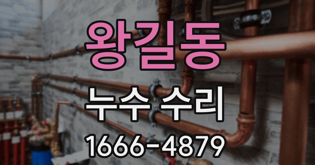 왕길동 누수 수리