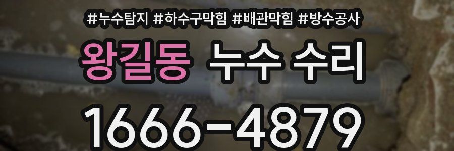 왕길동 누수 수리