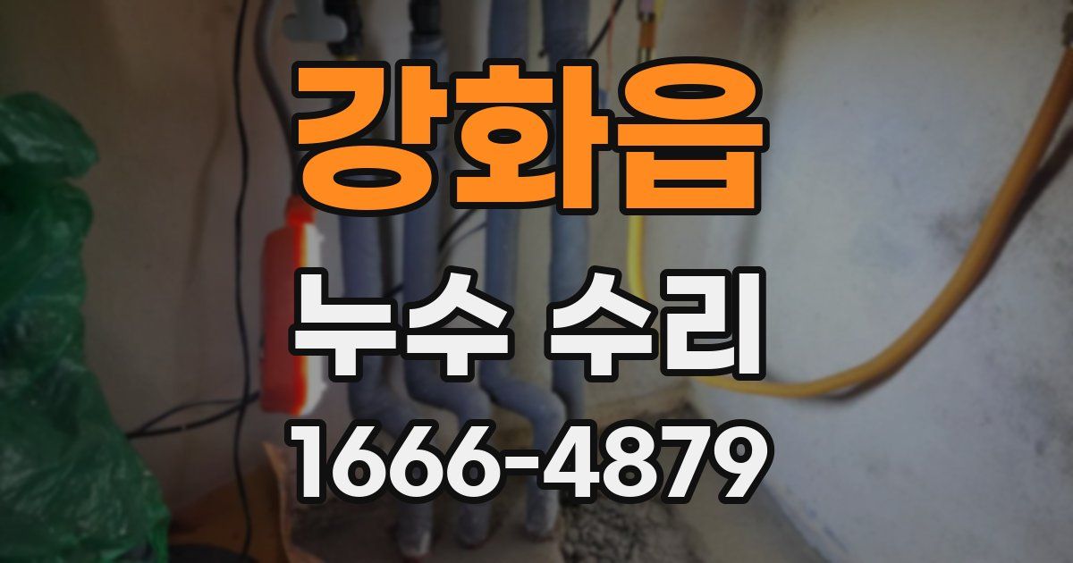 강화읍 누수 수리