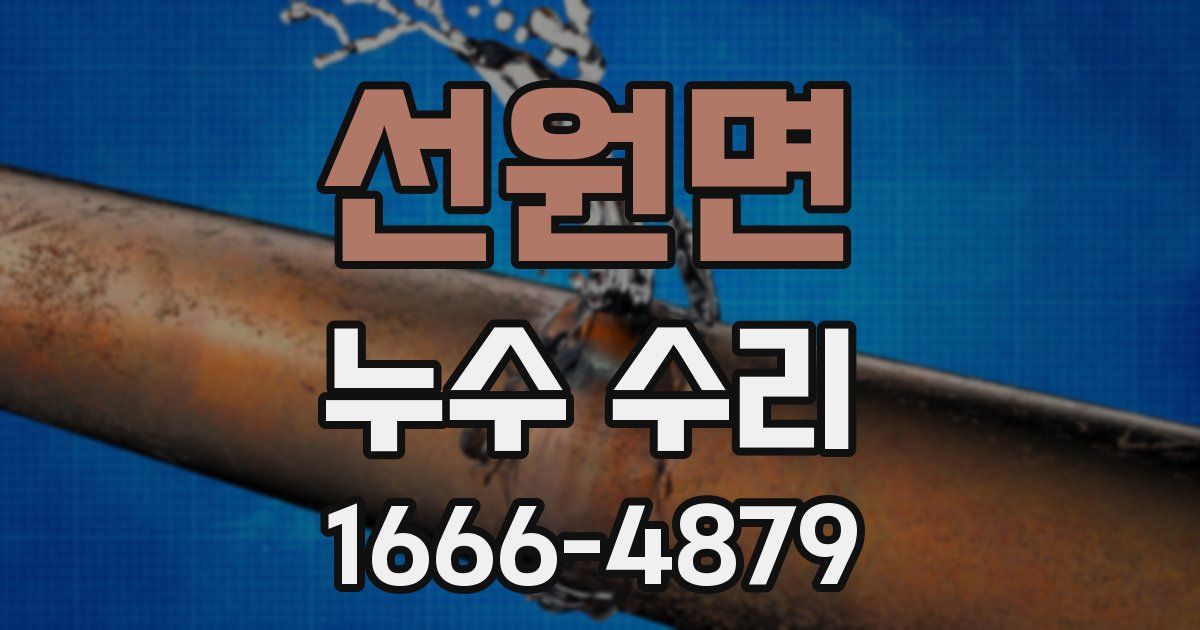 선원면 누수 수리