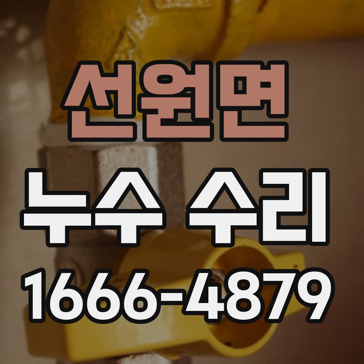 선원면 누수 수리