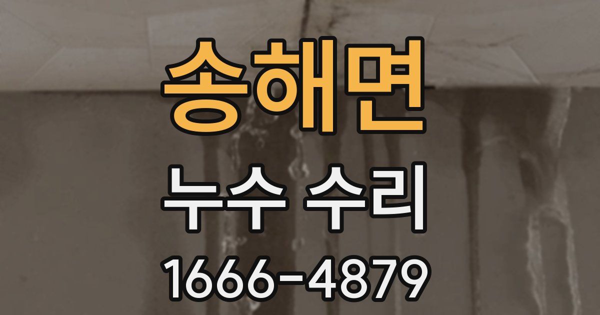 송해면 누수 수리
