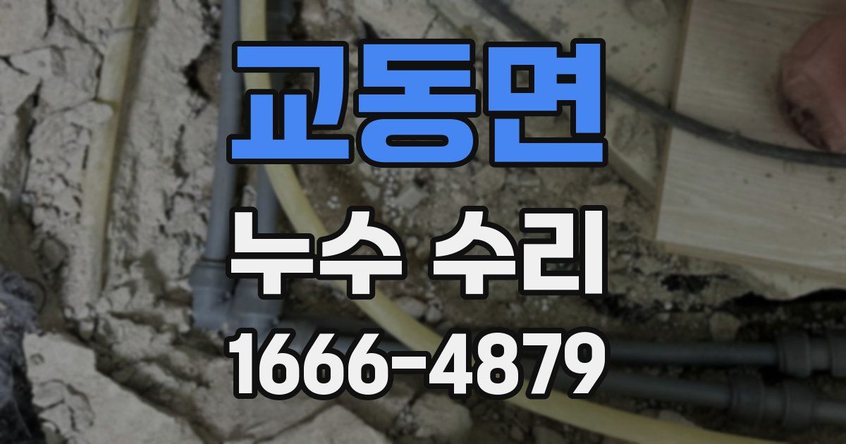 교동면 누수 수리