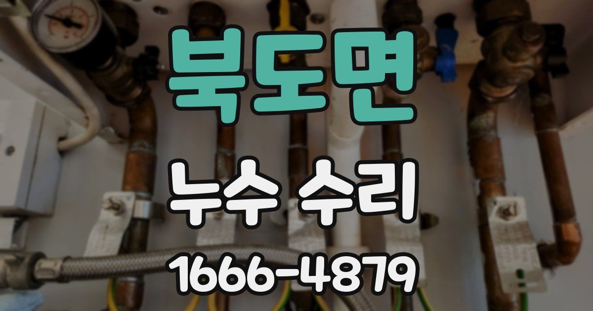북도면 누수 수리