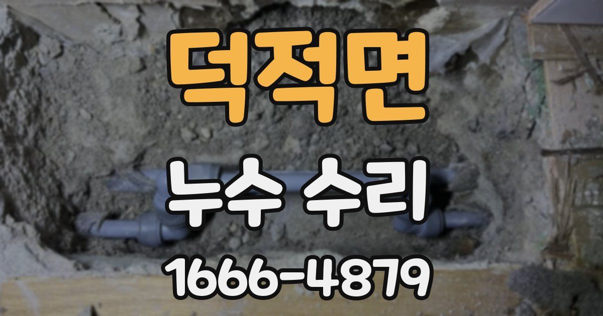 덕적면 누수 수리