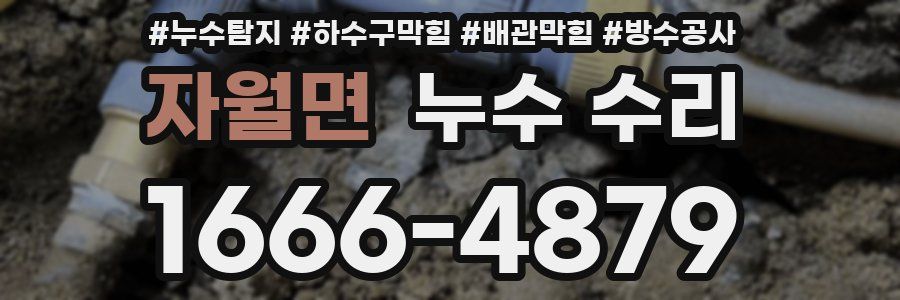자월면 누수 수리