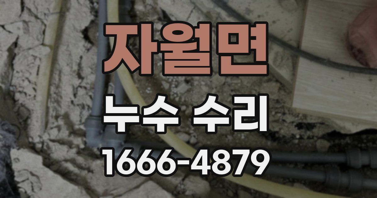 자월면 누수 수리