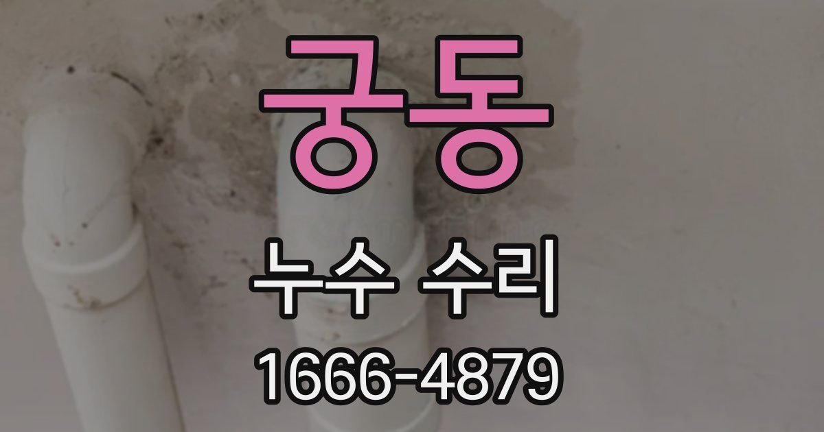 궁동 누수 수리