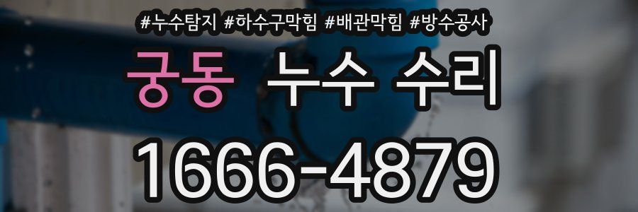궁동 누수 수리
