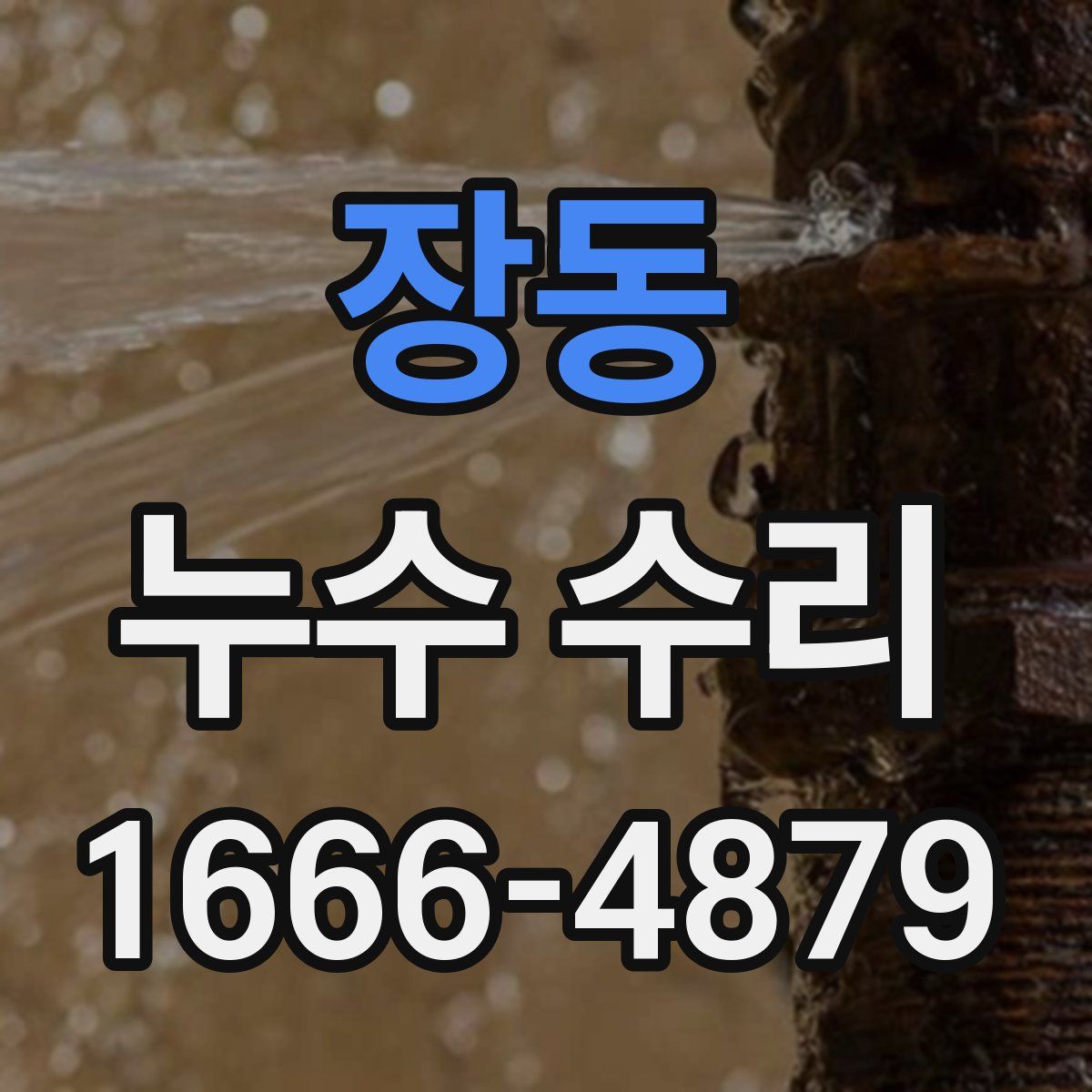 장동 누수 수리