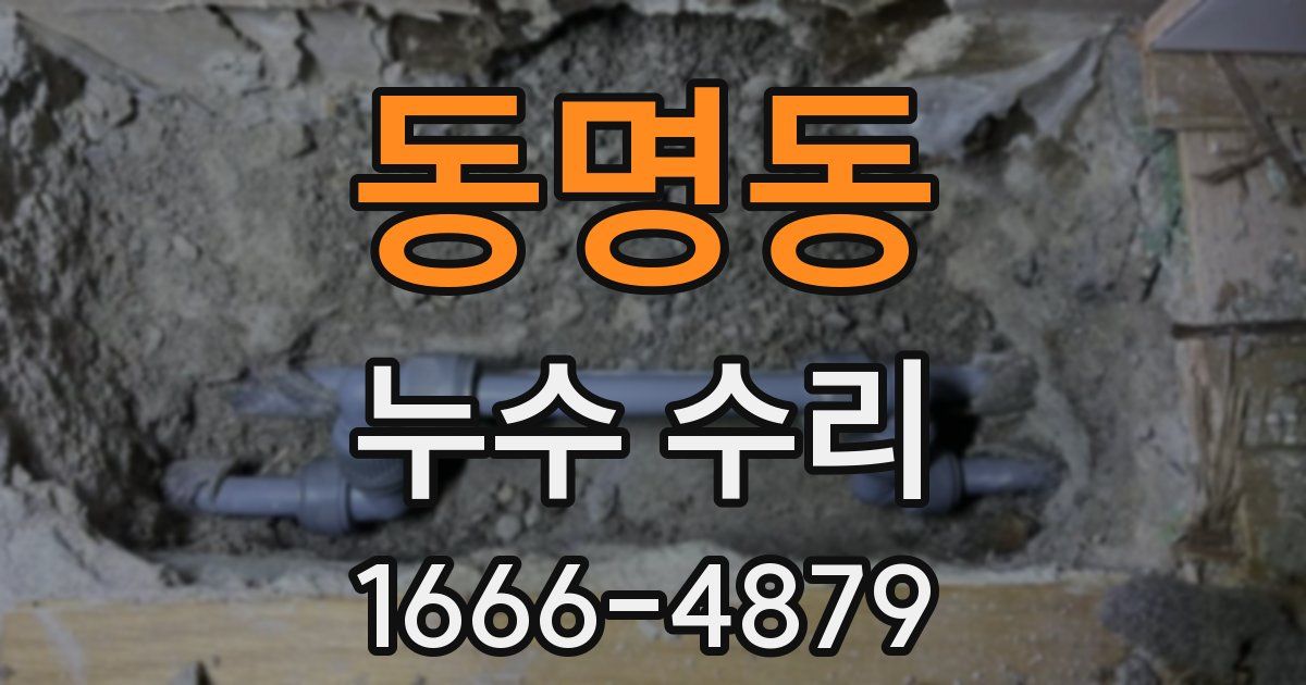 동명동 누수 수리