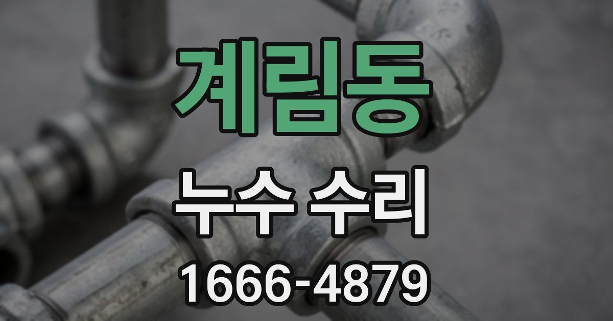 계림동 누수 수리
