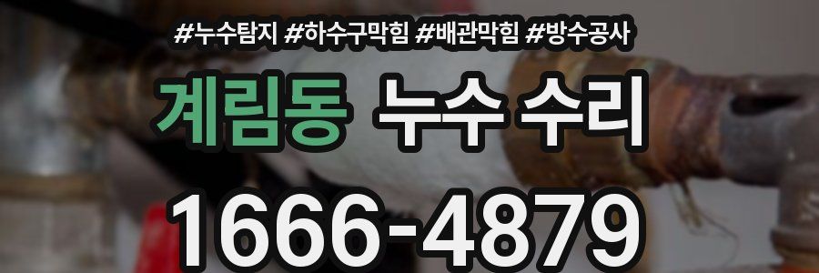 계림동 누수 수리