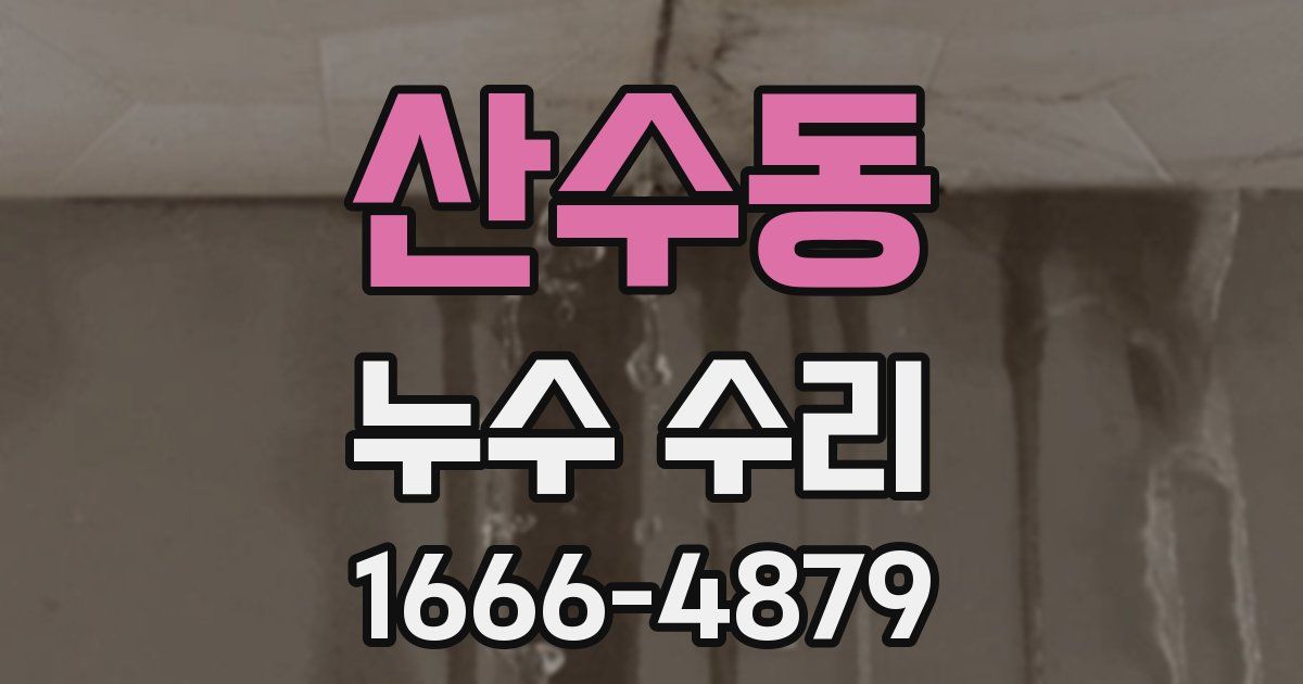 산수동 누수 수리
