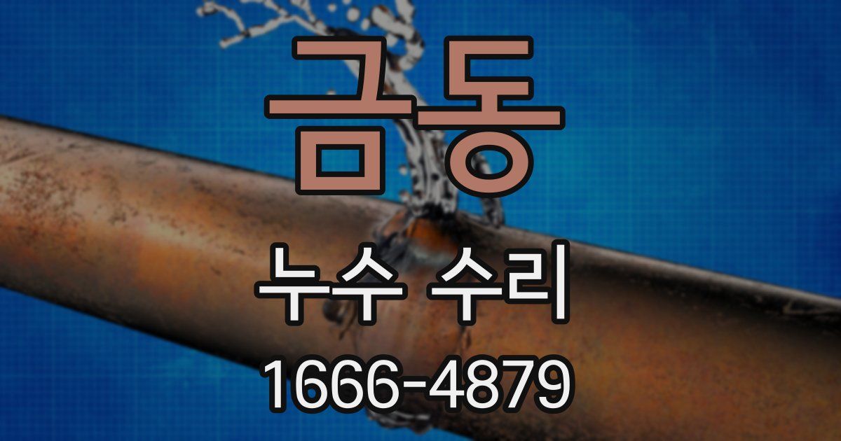금동 누수 수리