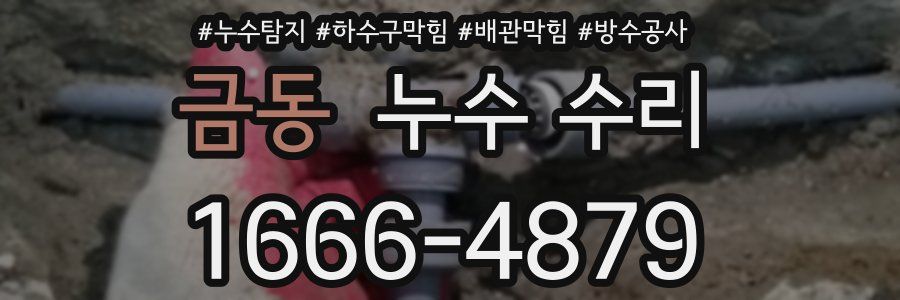 금동 누수 수리