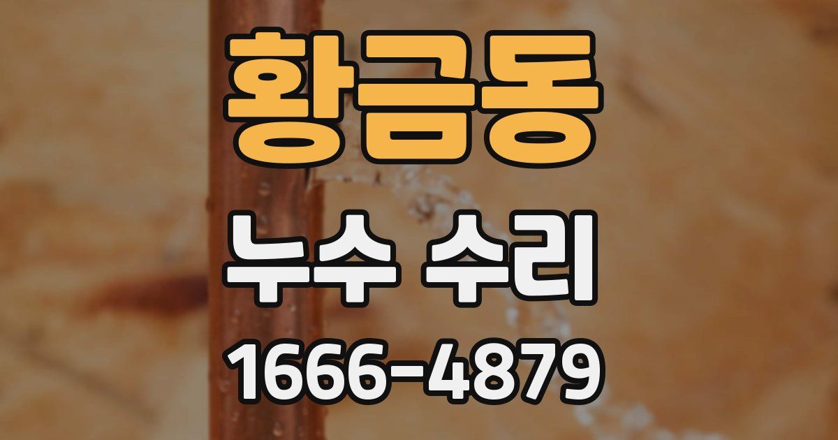 황금동 누수 수리