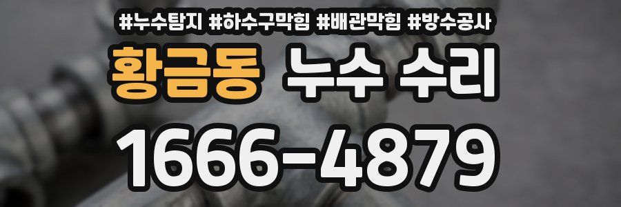 황금동 누수 수리
