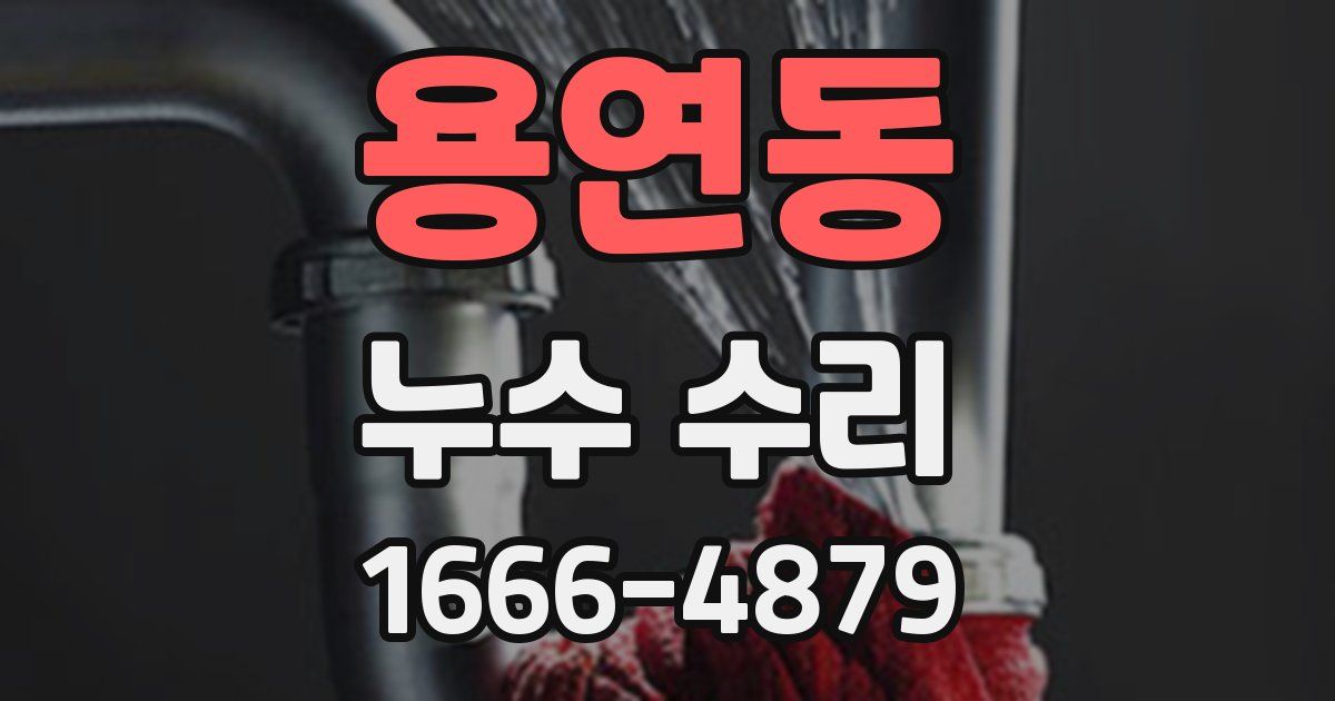 용연동 누수 수리