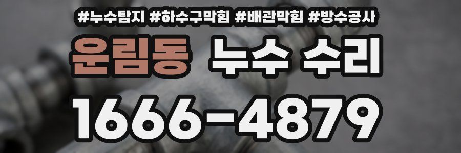 운림동 누수 수리