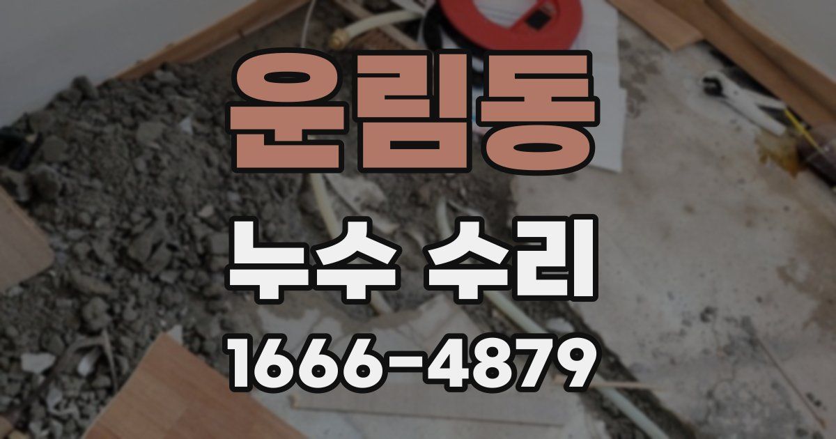 운림동 누수 수리