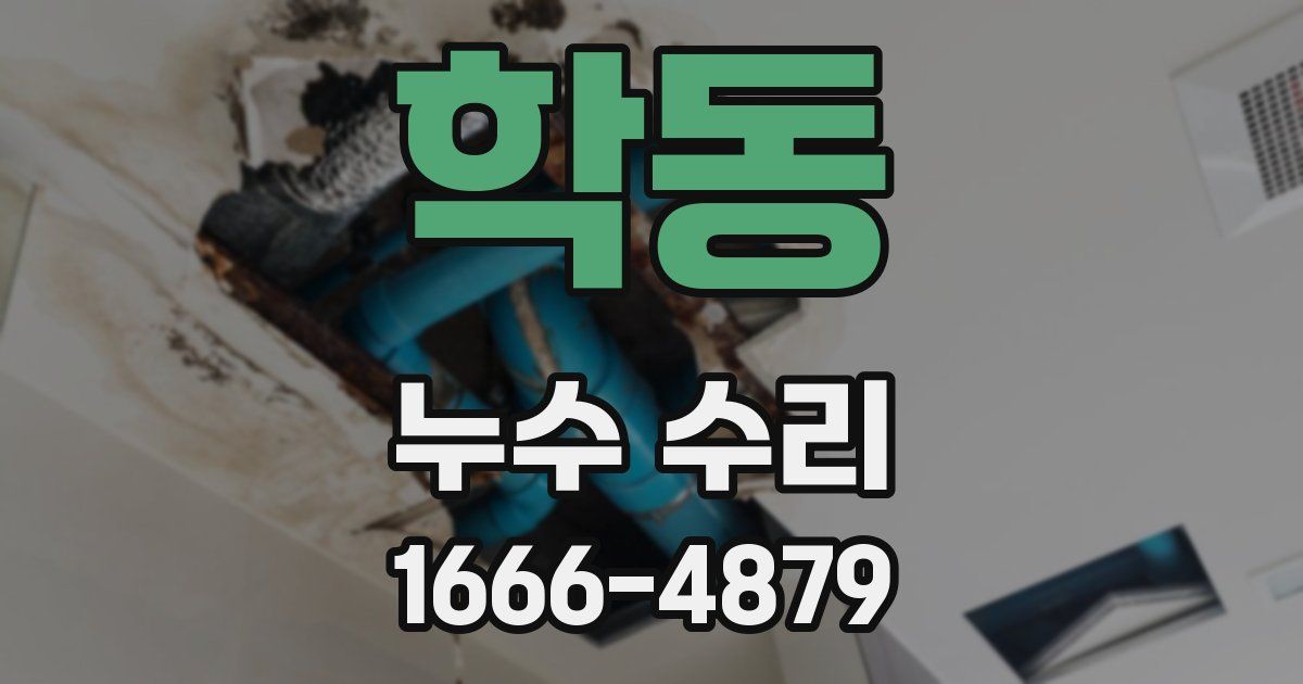 학동 누수 수리